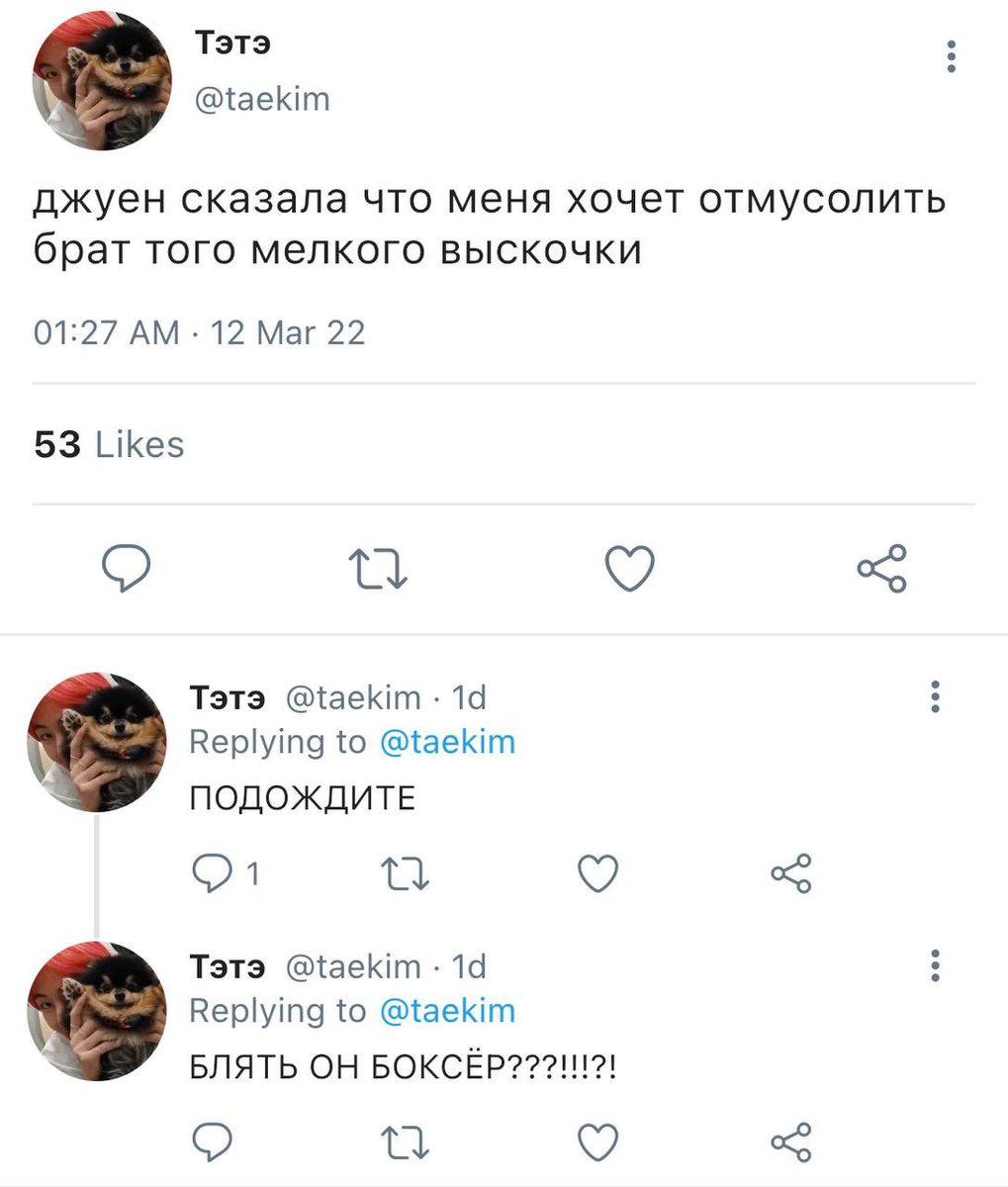 grabarczyk_pp's tweet photo. #vkookau, где младшая сестра Тэхена сломала нос мальчику, брат которого занимается боксом. 

#kookv #taekook #taekookau https://t.co/W82FgIcbpu