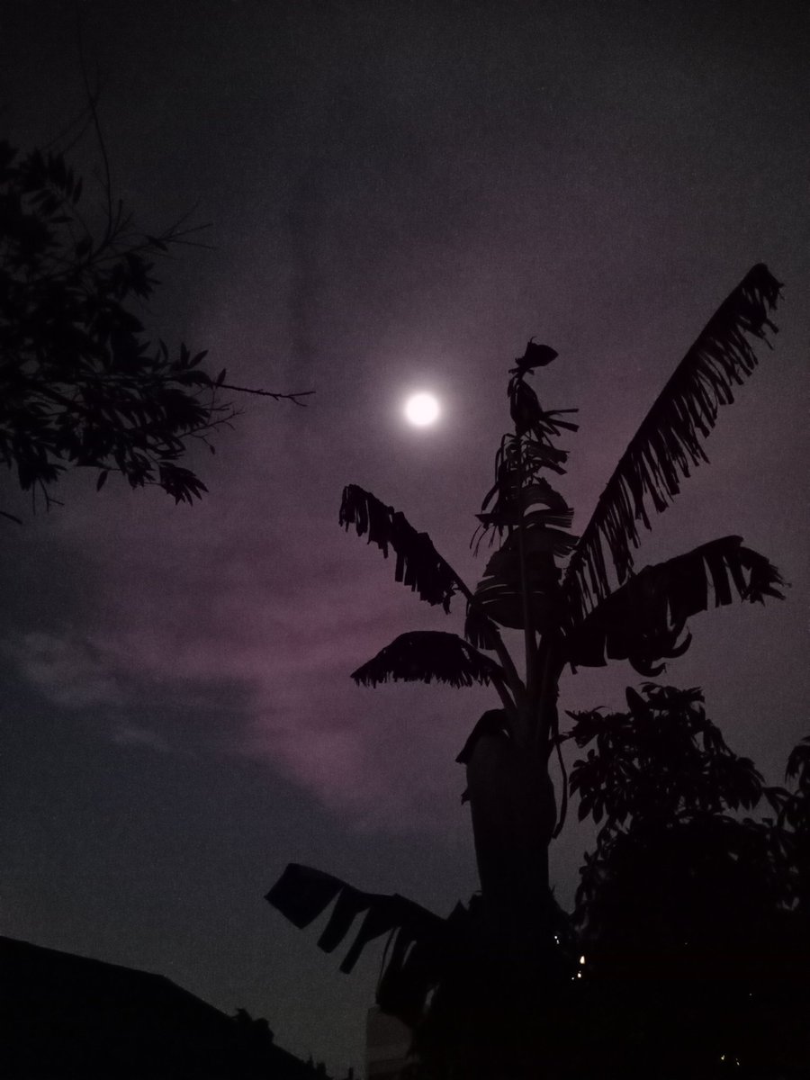 EliTongcil's tweet photo. https://t.co/PZl7lLzPGL