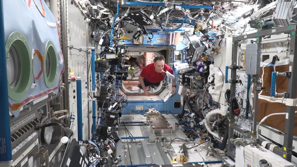 TheMaurerCrew's tweet photo. 🇩🇪 Die #CosmicKiss-#Woche in Bildern: 
Ein weiterer Bildungs-#Livecall, Schweben durch die Raumstation #ISS, Reparatur des elektromagnetischen Levitators und eine 30-Minuten-Tour durch das @ESA_de-#Columbus-Modul: https://t.co/Udvj8MlWf2
#Exp66 
Bilder: #ESA #NASA @astro_Matthias https://t.co/n9IToLCPp5