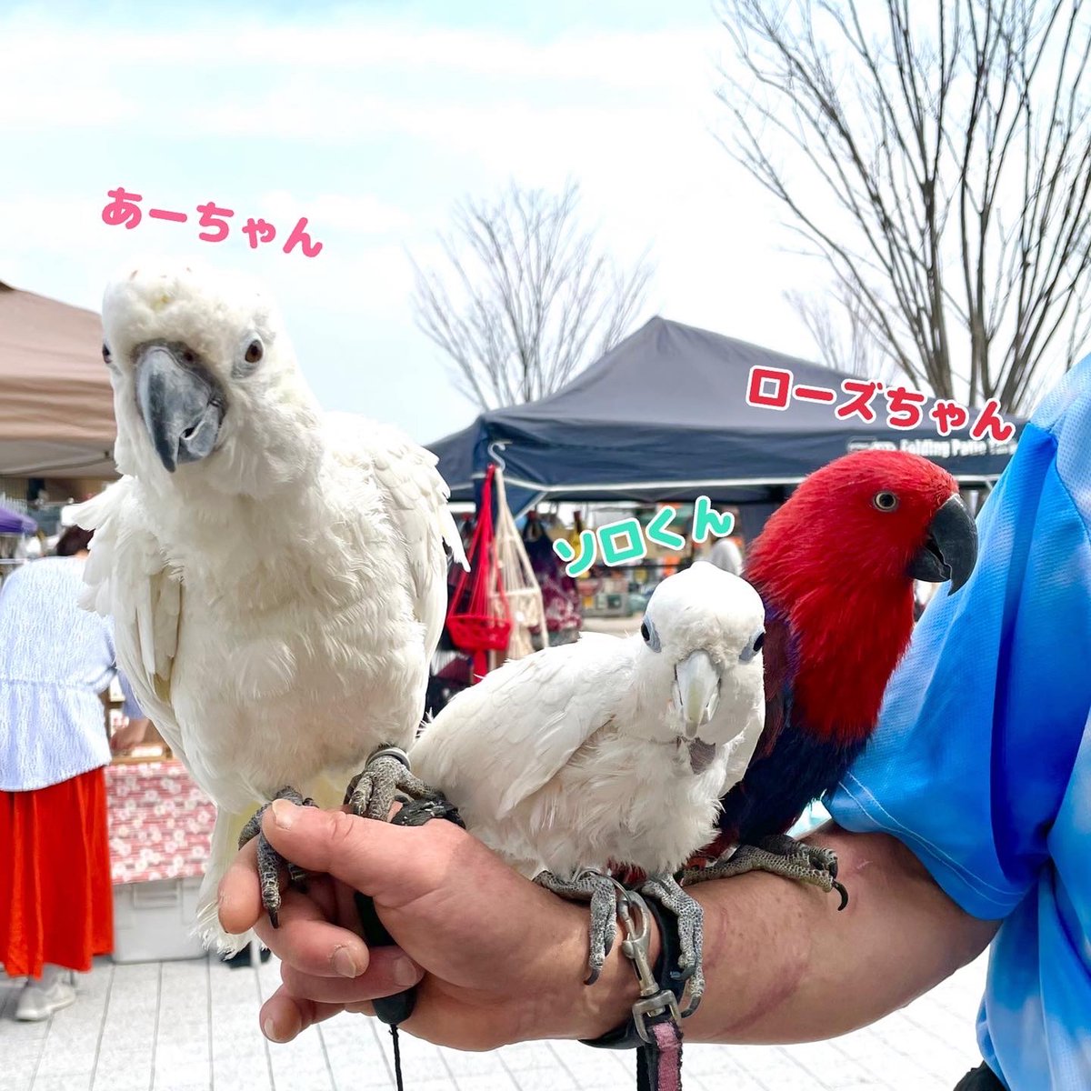Urin_Handmade's tweet photo. #ハンドメイドEXPO
in 安満遺跡公園vol.2

お疲れ様でした★

関係者の皆様、ｕ＆にお越し下さった皆様、ありがとうございました♡

次は4/3(日)に
また安満遺跡公園で開催される
#ハンドメイドフェス に
出店させて頂きます🌼

#ありがとうございます 
#安満遺跡公園 https://t.co/LGRG7XL4CJ