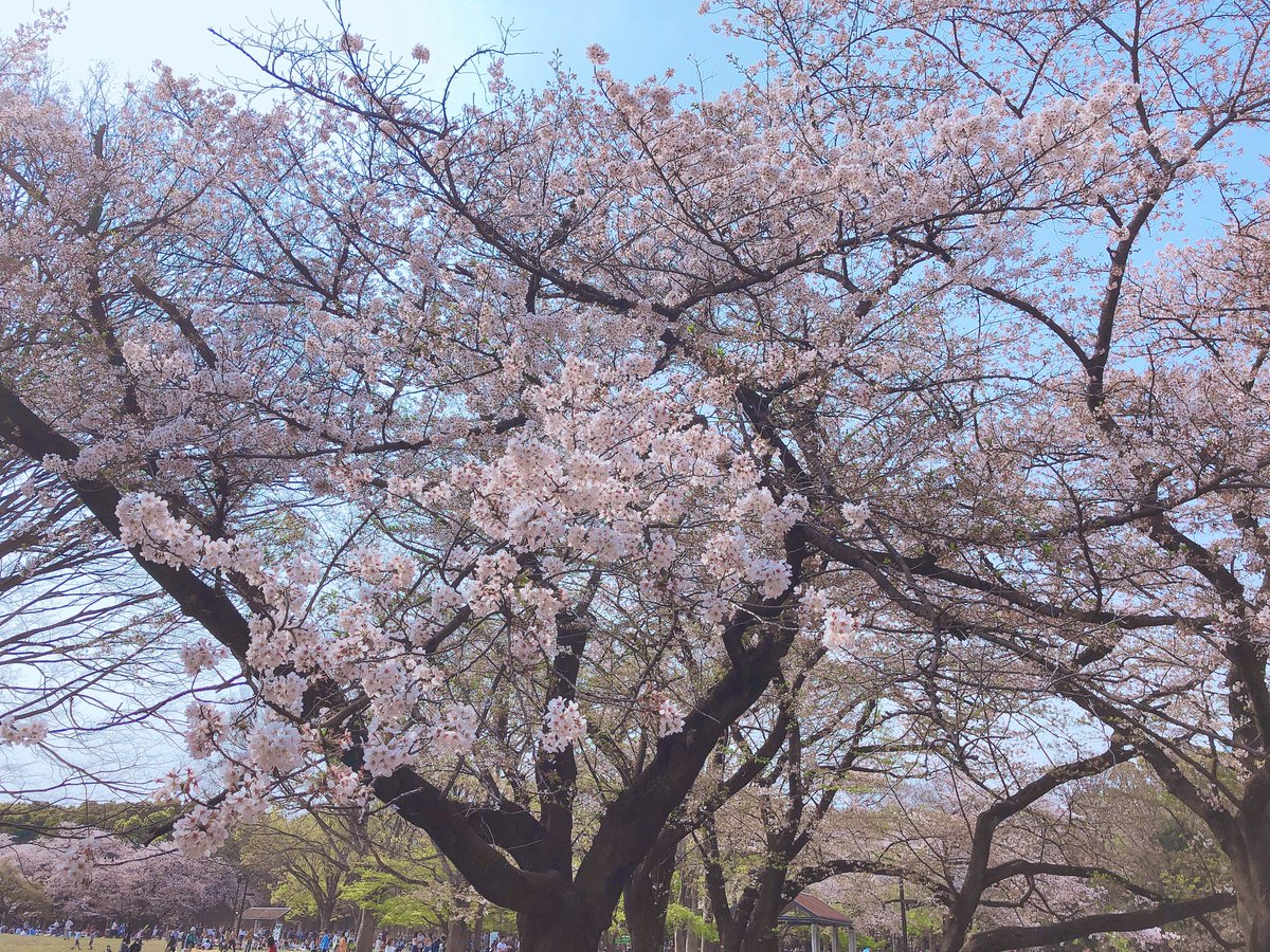nagi_reality_'s tweet photo. 春が来て夏がきて秋がきて
また冬が来る https://t.co/8p45tgyXR7