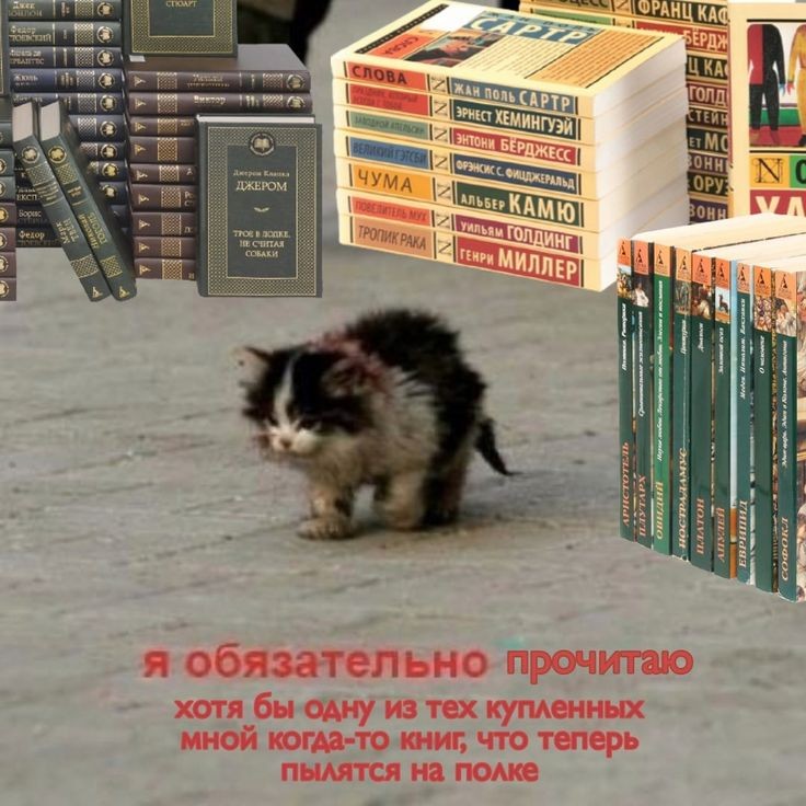 comeasyou_are__'s tweet photo. я: https://t.co/gybMb1F09X
