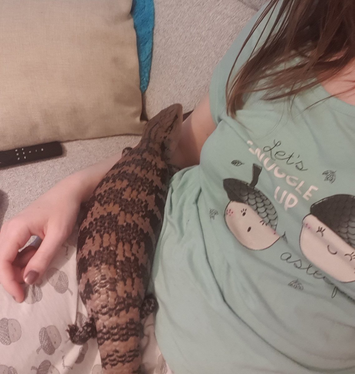 SOUVIEBTS's tweet photo. Making friends again/
After a stressful two weeks/
We will be ok.

[Ft. Mums pyjamas.]

#reptile #bluetongueskink   #haiku #reptiles #petpoetry #poem #bioactive #cobblepath #officeskink https://t.co/j0tywCOVC2