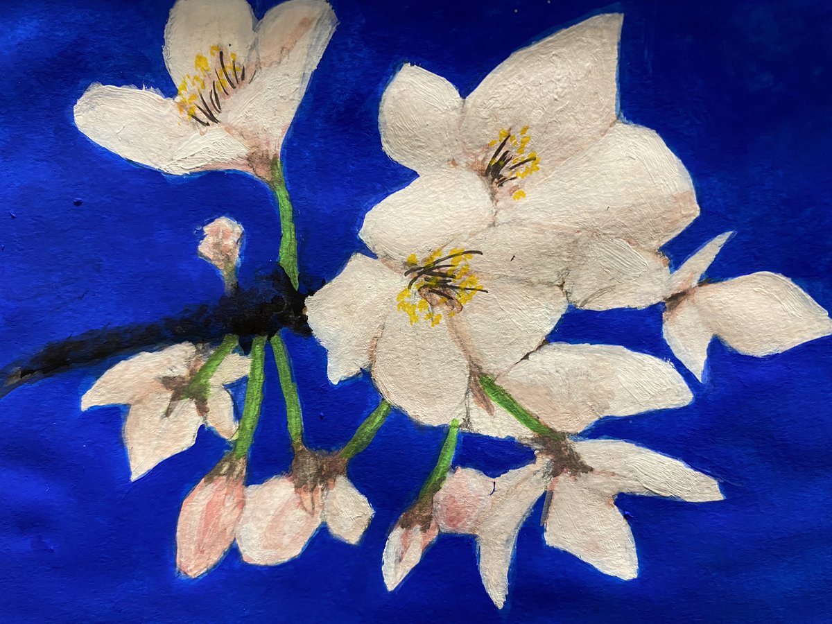 Gopencildrowing's tweet photo. 桜の季節ですね。北海道はまだまだですが、、春が待ち遠しい

#桜 
#アクリル絵の具
#鉛筆 https://t.co/Vt9X3axwn7