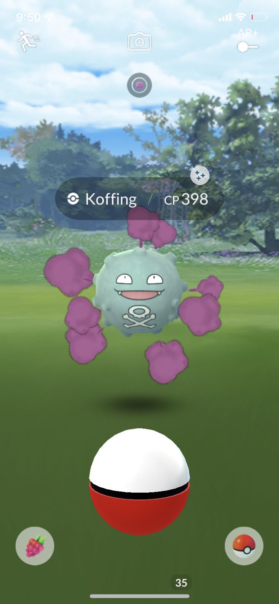 Deez_sstun's tweet photo. Shiny koffing! 💨✨ #PokemonGO #ShinyPokemon #ShinyCheck #pokemon https://t.co/UTTRMsczwt