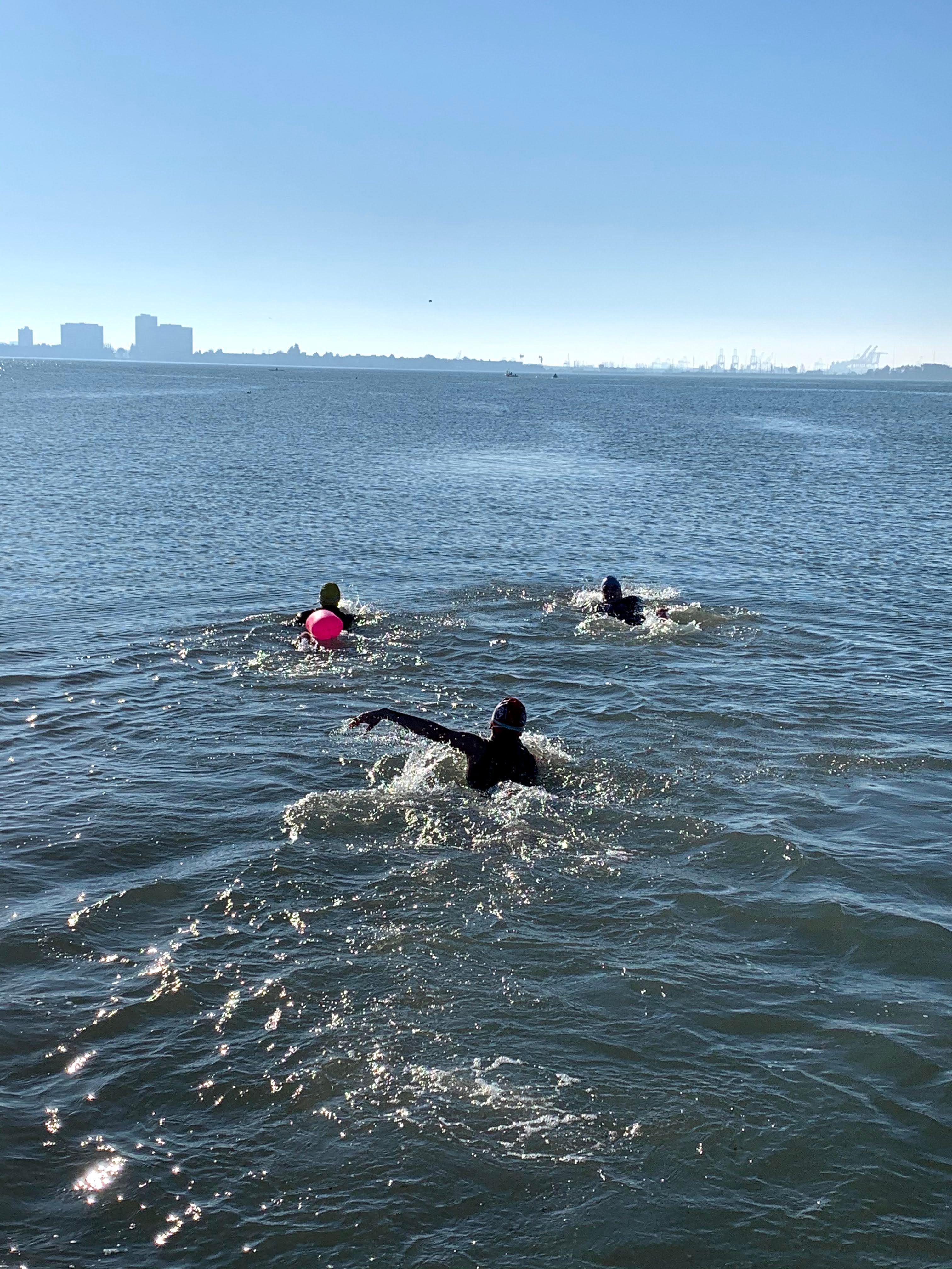 Odyssey Open Water Swimming on Twitter "There are currently 15 spots