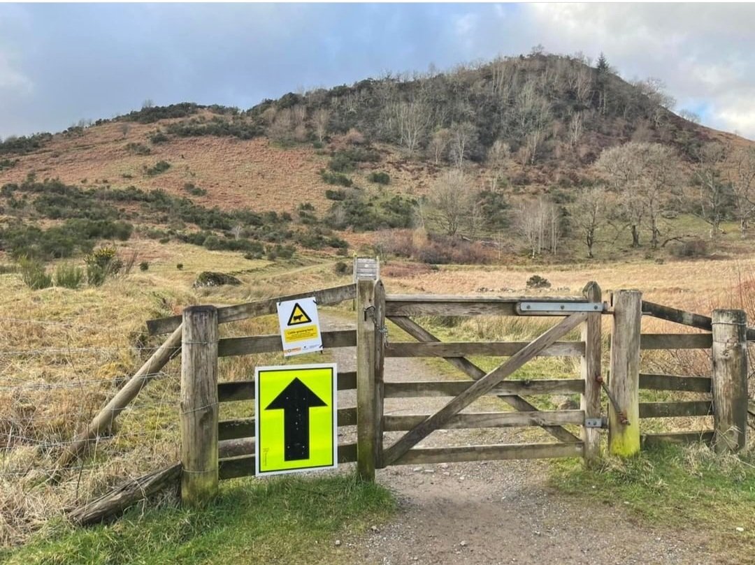 DeeBryso's tweet photo. Very scenic 10k round Callander today πββοΈππ #callander10k #callander #tayfitnessevents #running https://t.co/6ebwiWOsr7