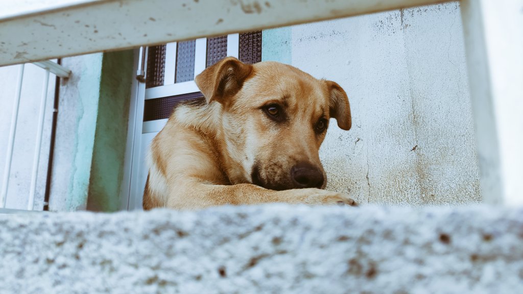 𝑨𝒍𝒆𝒋𝒂𝒏𝒅𝒓𝒐 tweet media