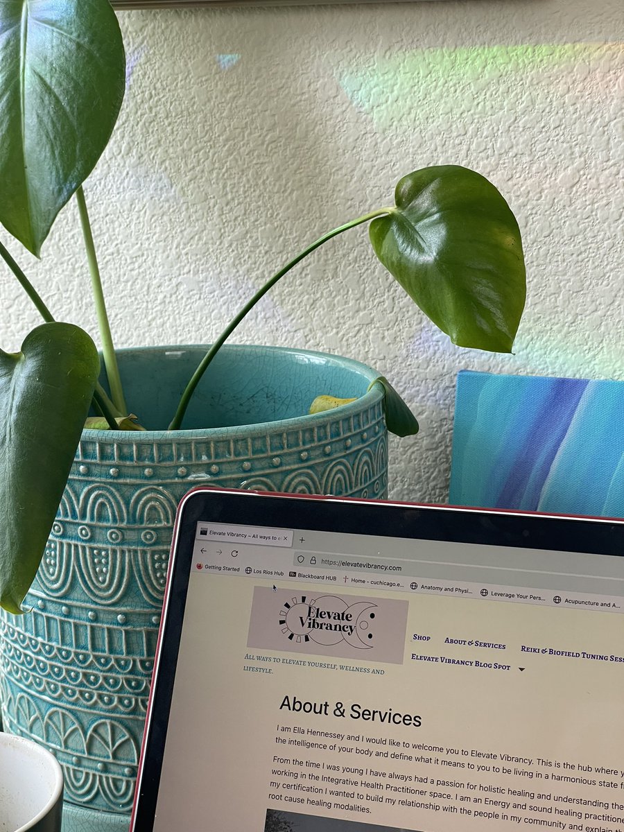 So my website has been live for a minute :) but now it has a cute lil official logo thanks to @vunneza 💕💫💚