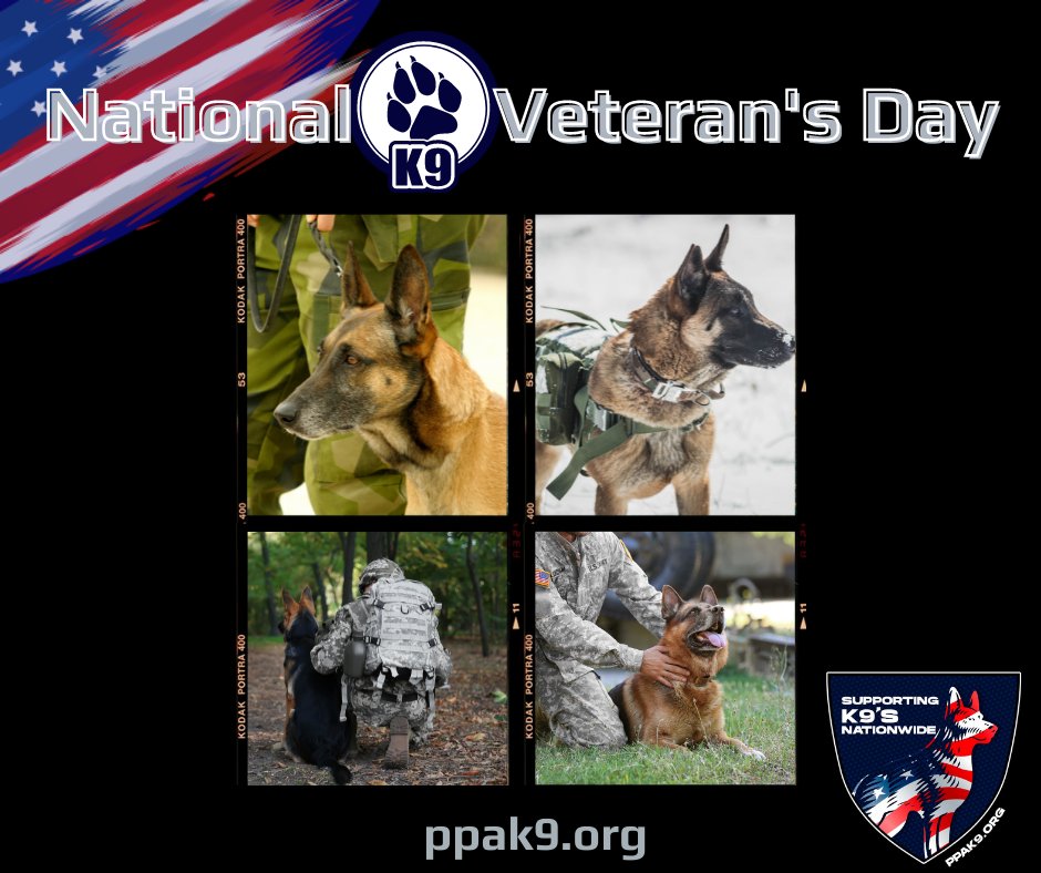 We proudly honor the service and sacrifice of our military working dogs. #NationalK9VeteransDay