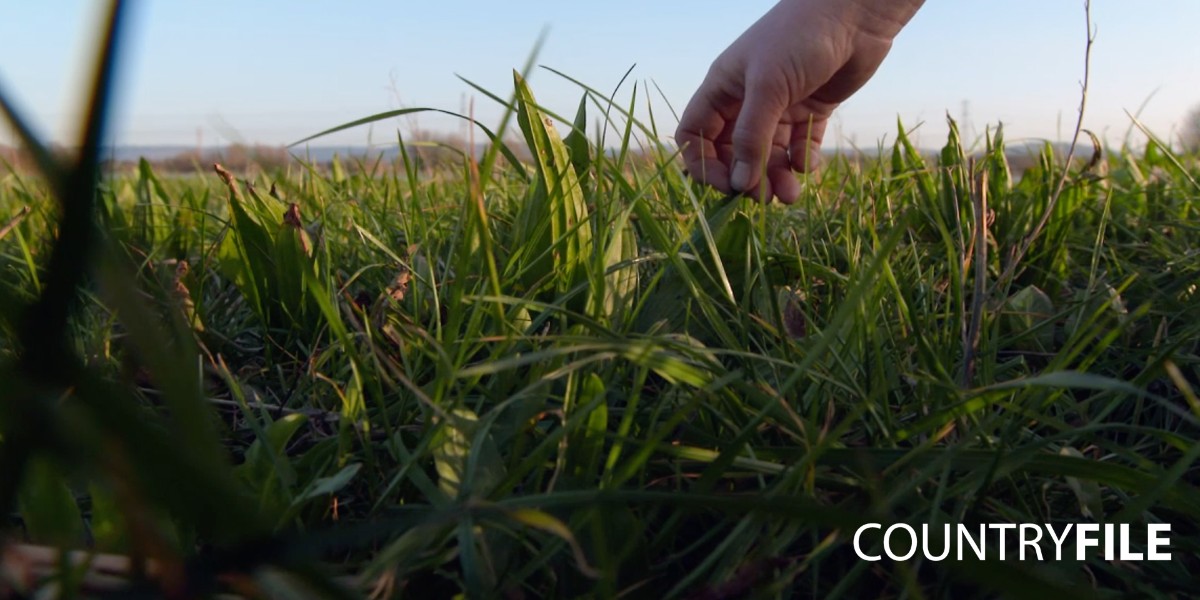 One farmer that is working with the elements is Debbie, who has been farming at Coombe Hill in Gloucestershire for 12 years. She has planted a wetland mix of grass which will hopefully survive the flooding. #Countryfile