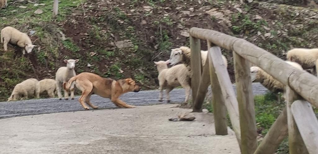 𝑨𝒍𝒆𝒋𝒂𝒏𝒅𝒓𝒐 tweet media