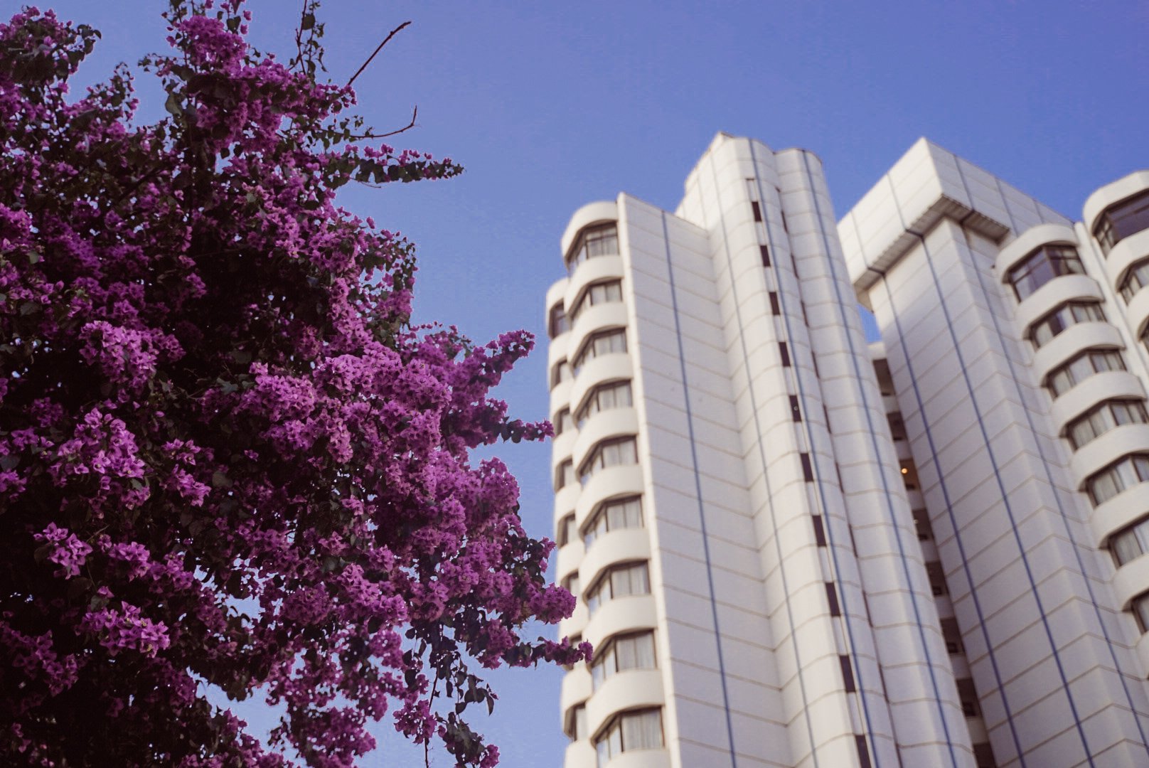 Mwangi Kirubi on Twitter "I grabbed some frames while in Nairobi this