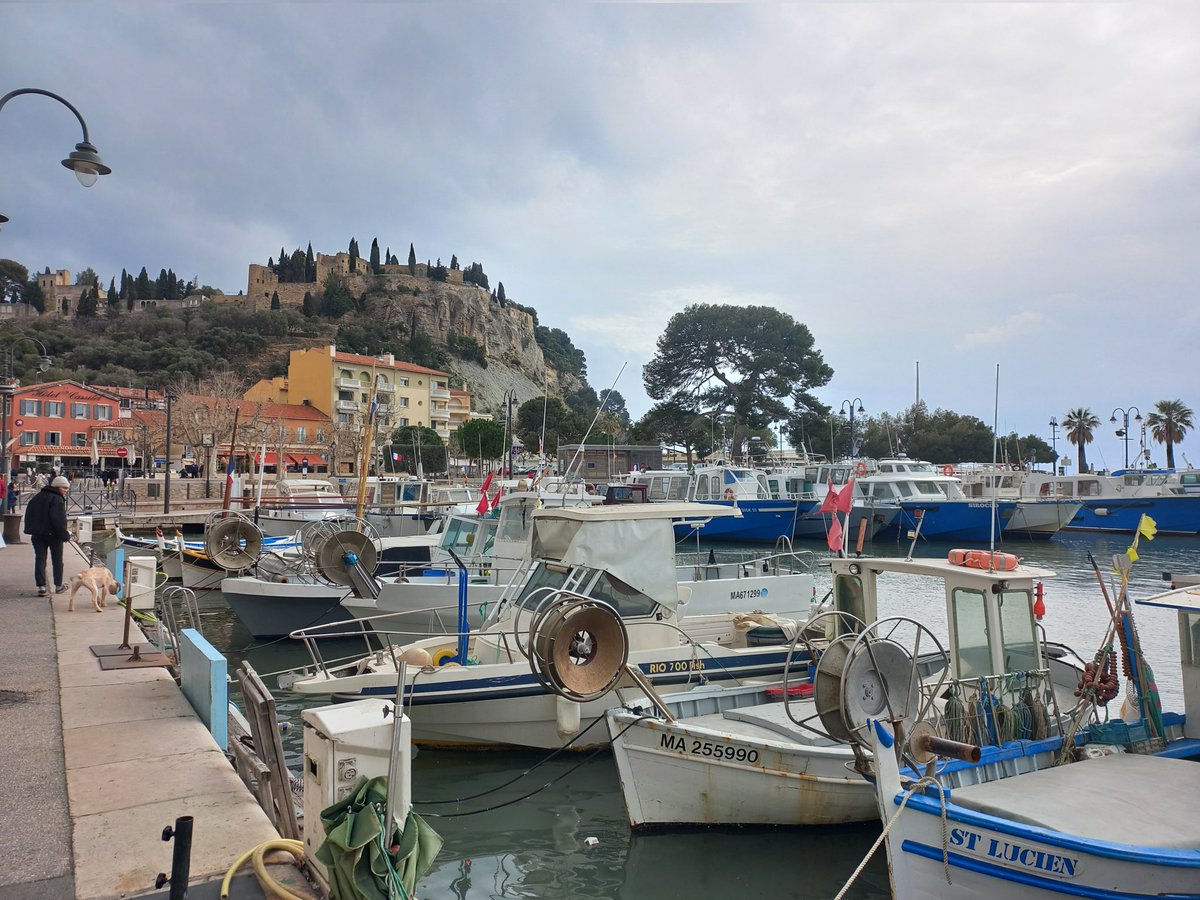 JohnsonSuzi's tweet photo. Trying to enjoy a #SaneSunday amidst the sadness and chaos around us  all.  Wandering around #Cassis here in the South of France. Still want #JohnsonOut48 https://t.co/u7BvYZPRSS