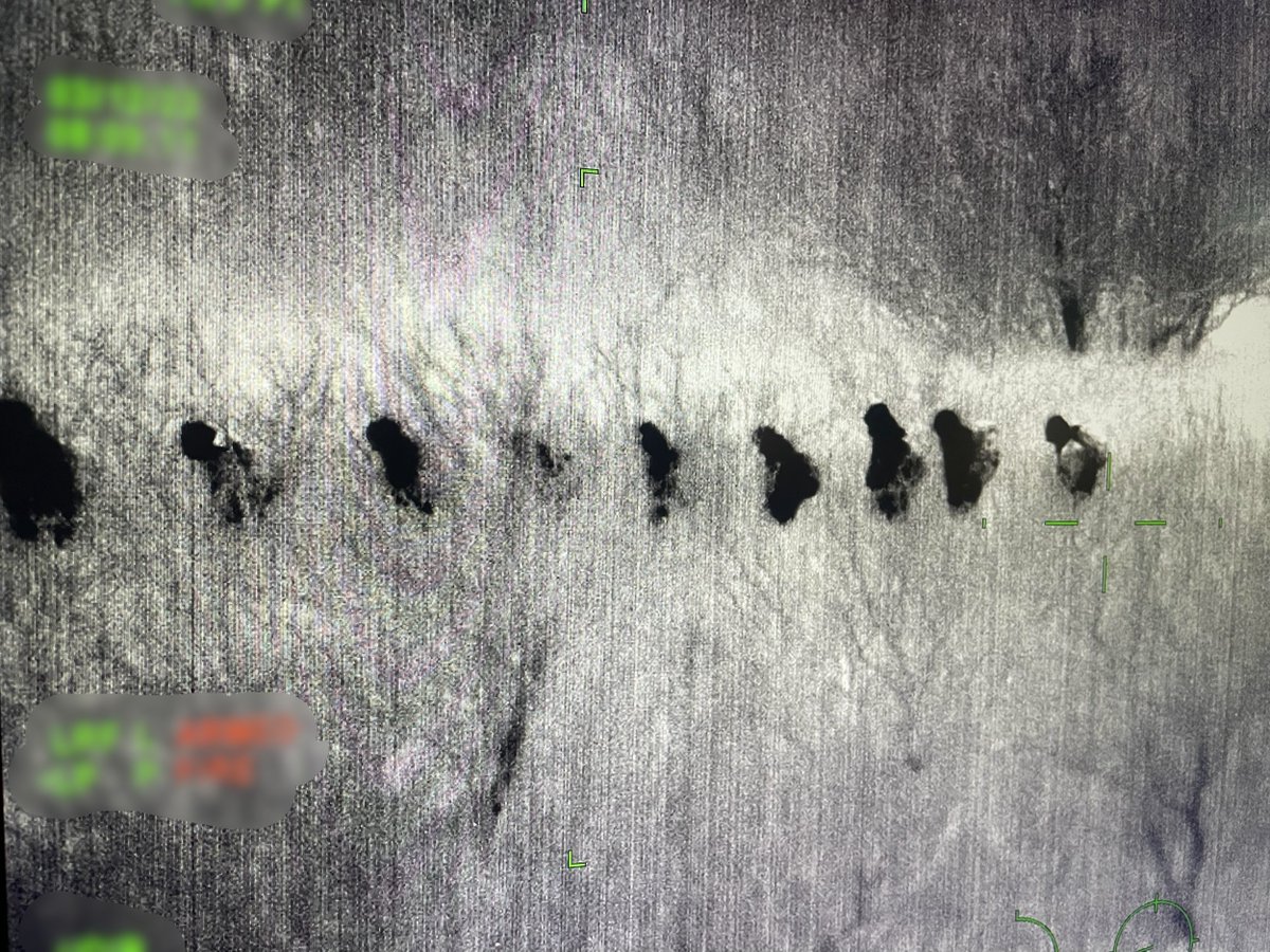 nbpc2509's tweet photo. VAN HORN #BorderPatrolAgents catch 28 aliens:
2 groups 28 illegal aliens stopped early Saturday morning.  Busy night, but Big Bend Agents will persevere. Outstanding job! #BorderPatrol #BPUnion #Police #BorderCrisis #ThinBlueLine #honorfirst #lawenforcement https://t.co/RBzX2TuVy4