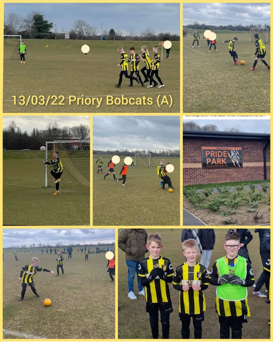 13/03/22 

The Sharks ran riot at a windy (as always) Pride Park where they met the Priory Bobcats.

Goals: Tyler, B (x4), Noah H, Noah T (x2)

Motm: Noah H 
Parents player: B
Trainer of the week: Jack 

⚽️🦈
