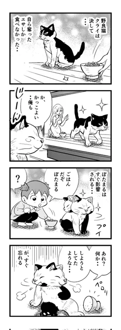 ギリ3時まえー(`ω')
苦しまぎれ4コマー
早く寝まーすーおやすみなさい
(‾q‾)zzz 