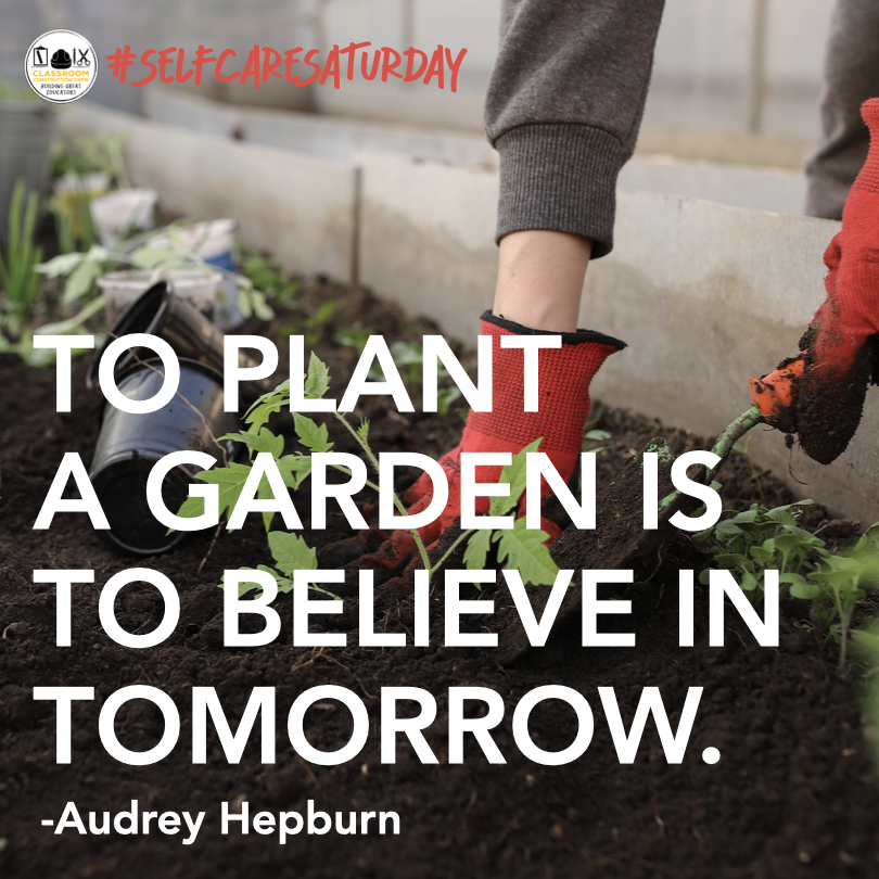 ClassroomCrews's tweet photo. We know it's not easy, but keep sowing those seeds. They'll eventually flower!🌹💐🌺🌻

#selfcaresaturday #plantaflowerday #flowerday #gardening #herbgarden #herbs #teacherspayteachers #tpt #wellness https://t.co/rKI65CIyG4