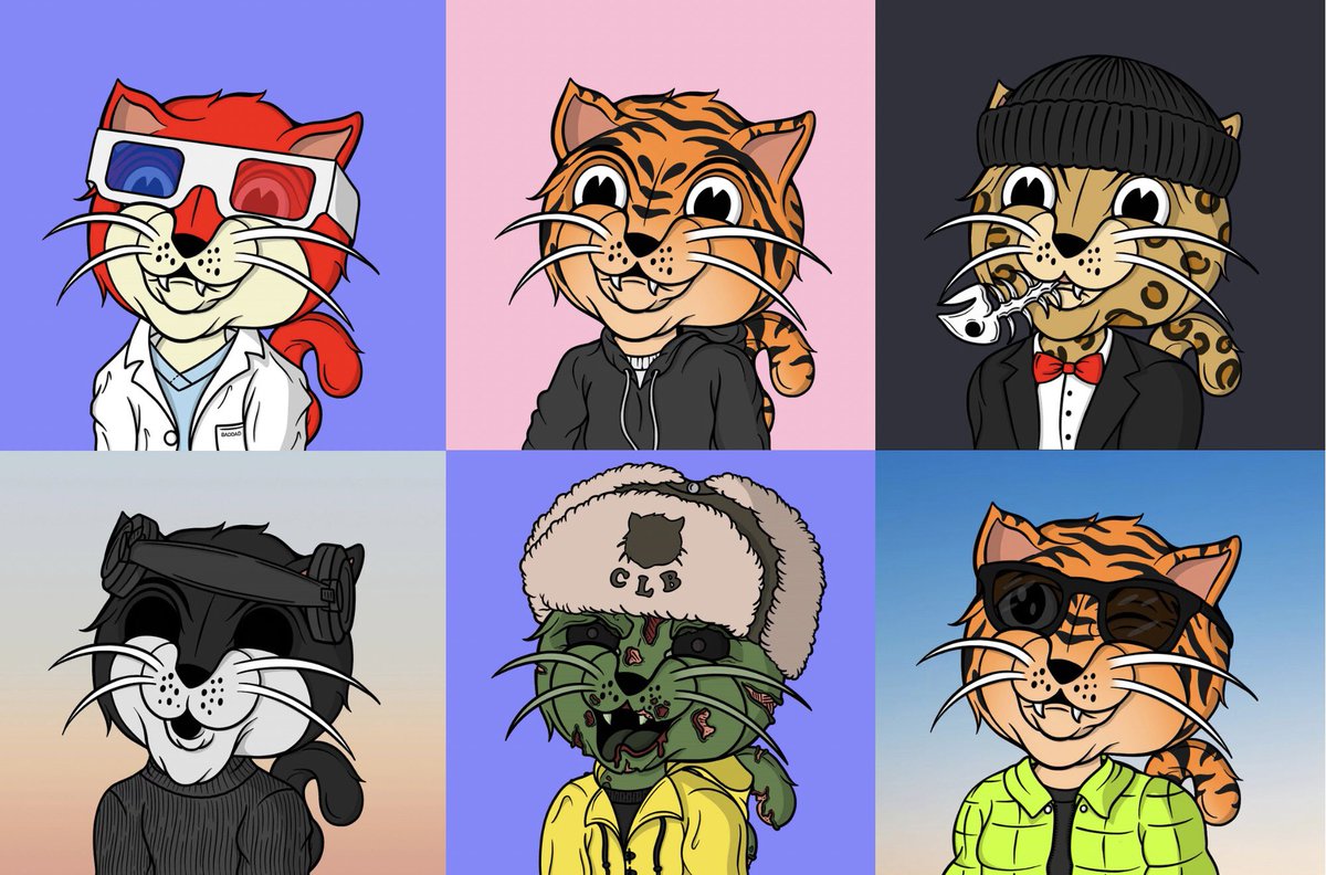 NFTAakesh's tweet photo. @Cooopahtroopa I’ve got my collection of @ClubLitterbox https://t.co/vJYLVBJ0bM
