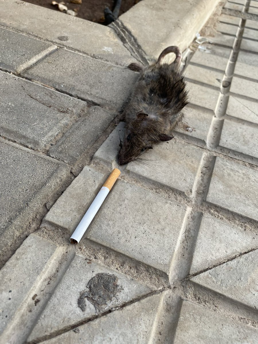 mi prototipo d hombre