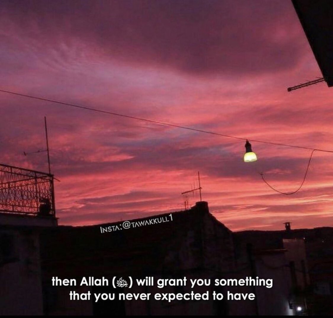 GlobeShadow's tweet image. 