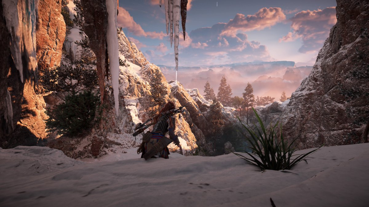 silvysaez's tweet photo. #PS5Share, #HorizonForbiddenWest https://t.co/AIqDX7tqn9
