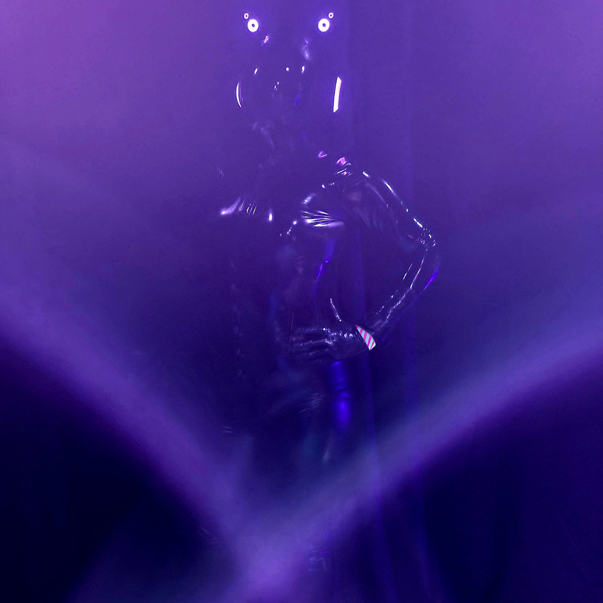 9469 :: It had a really fun weekend meeting other drones, dolls, pets and shiny peeps ^^