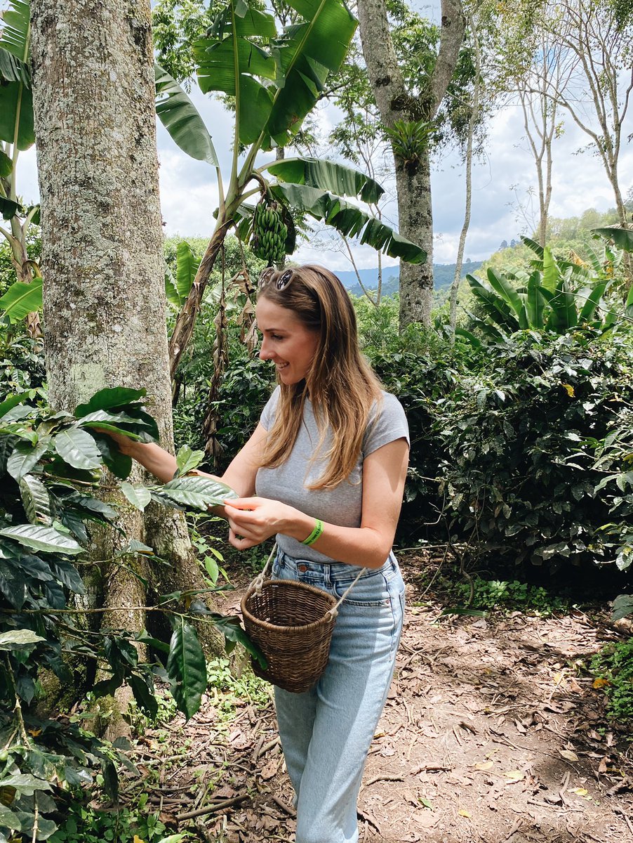AlikiTravelBlog's tweet photo. From today I am also a coffee expert 😎☕️
📍Coffee Farm ‘Finca de Ocaso’, Salento, Colombia 🇨🇴
#CoffeeLover #CoffeeExpert https://t.co/HfcsENHW3P