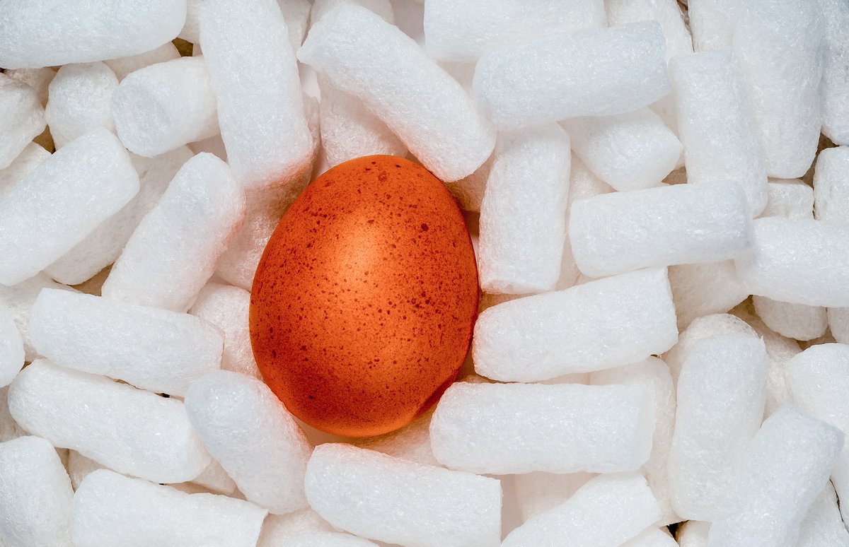 LessonsLight's tweet image. Ambient views are better than ambivalent ones. Test ambience with a trip called safe delivery. Deliver safe words and you deliver ambience. Deliver chaos and you deliver ambivalence.