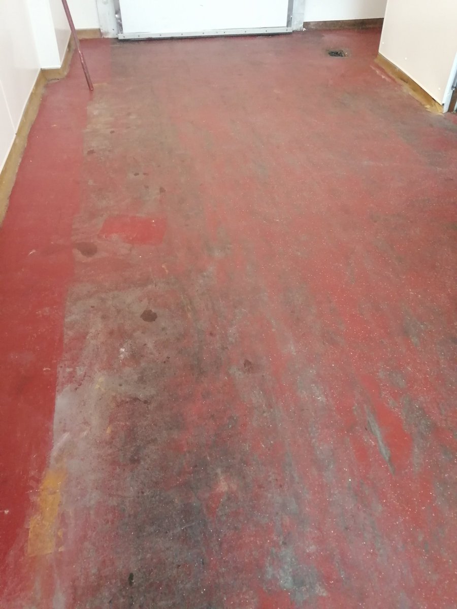 FloorLimited's tweet photo. https://t.co/Jw49s0tcE8