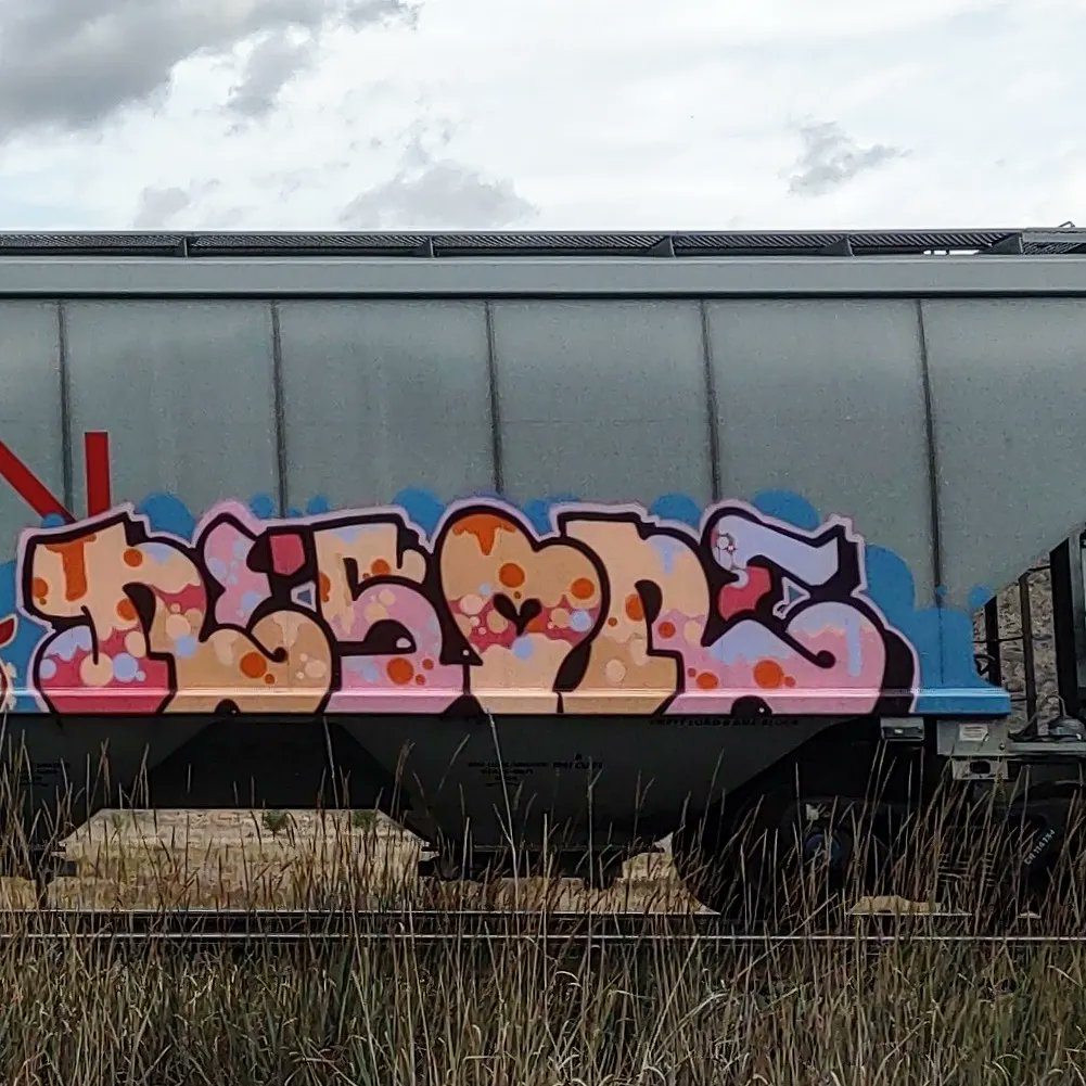 GraffitiExpress's tweet photo. resone
#kamloops #train #graffiti #art 
#resone https://t.co/slpFpjbrBd