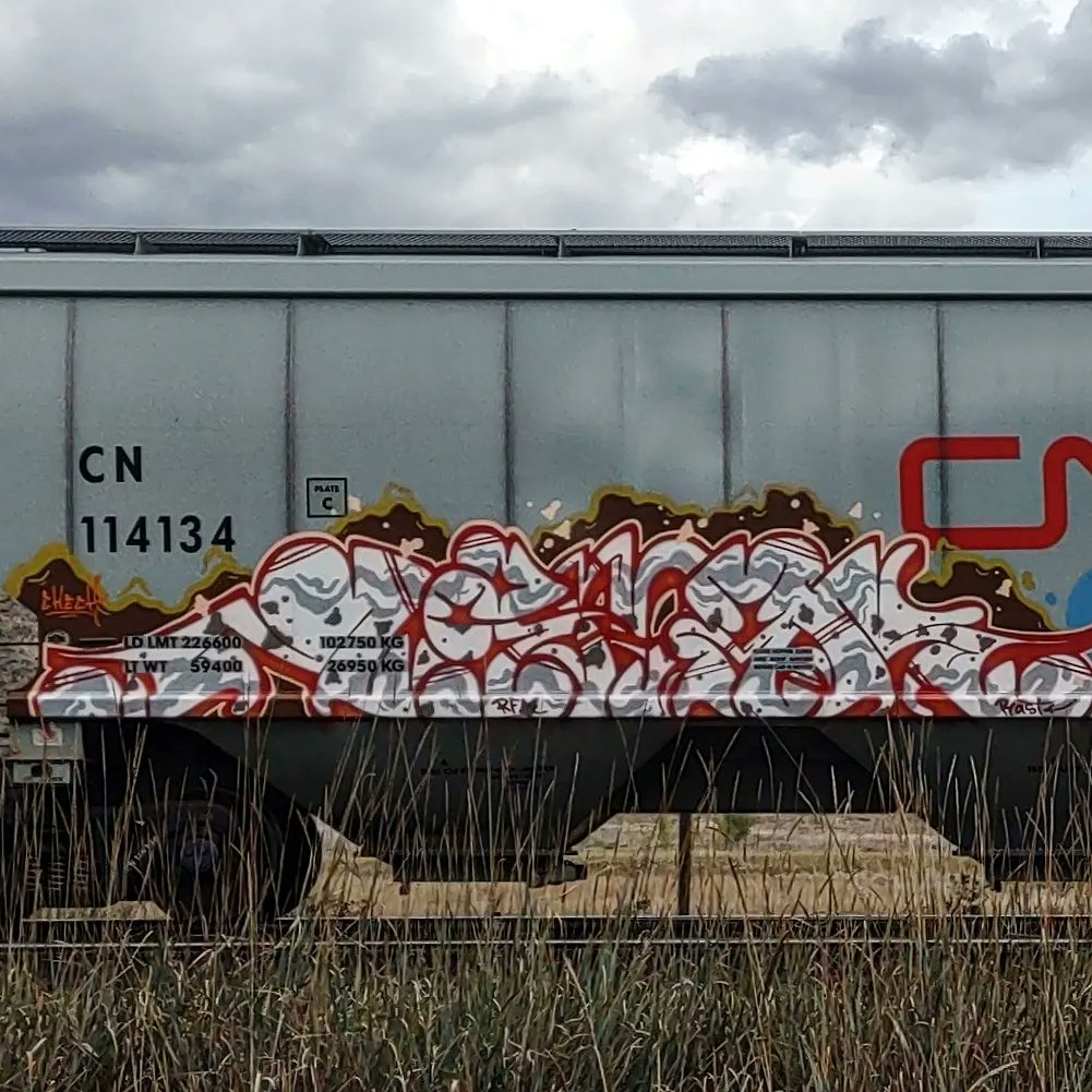 GraffitiExpress's tweet photo. resone
#kamloops #train #graffiti #art 
#resone https://t.co/slpFpjbrBd
