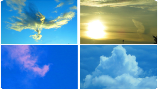 Mrs. Sizzle tweet media