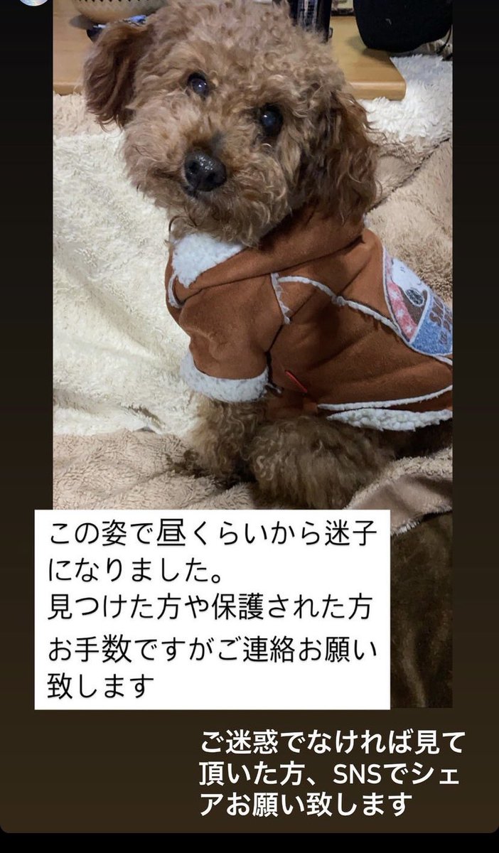 タグ 迷い犬 の注目ツイート メガとんトラック タグ 迷い犬 の注目ツイート メガとんトラック