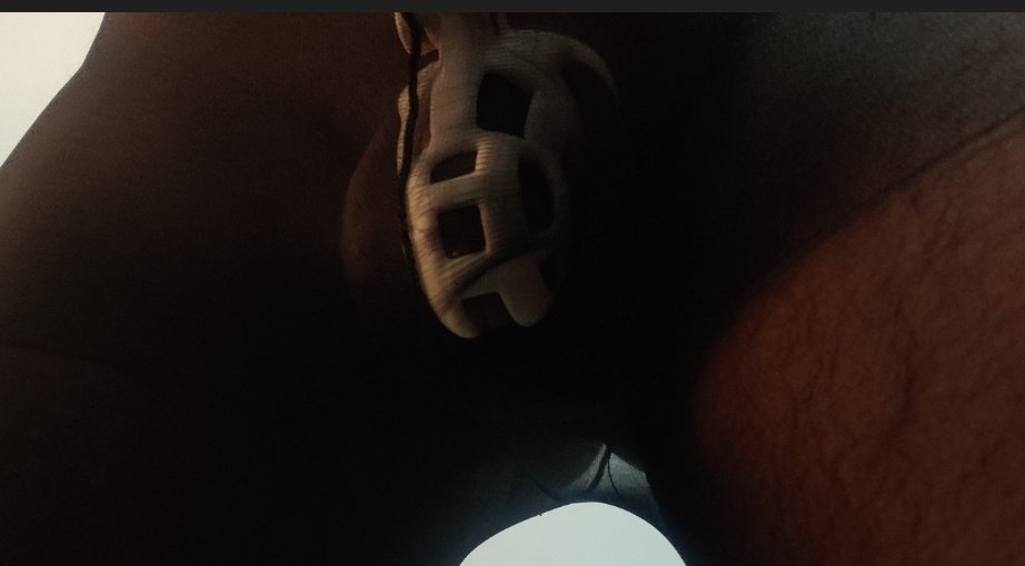 amazing_silver's tweet photo. #chastity #LockedAndDenied #lockedinchastity https://t.co/VhlBqElXa7