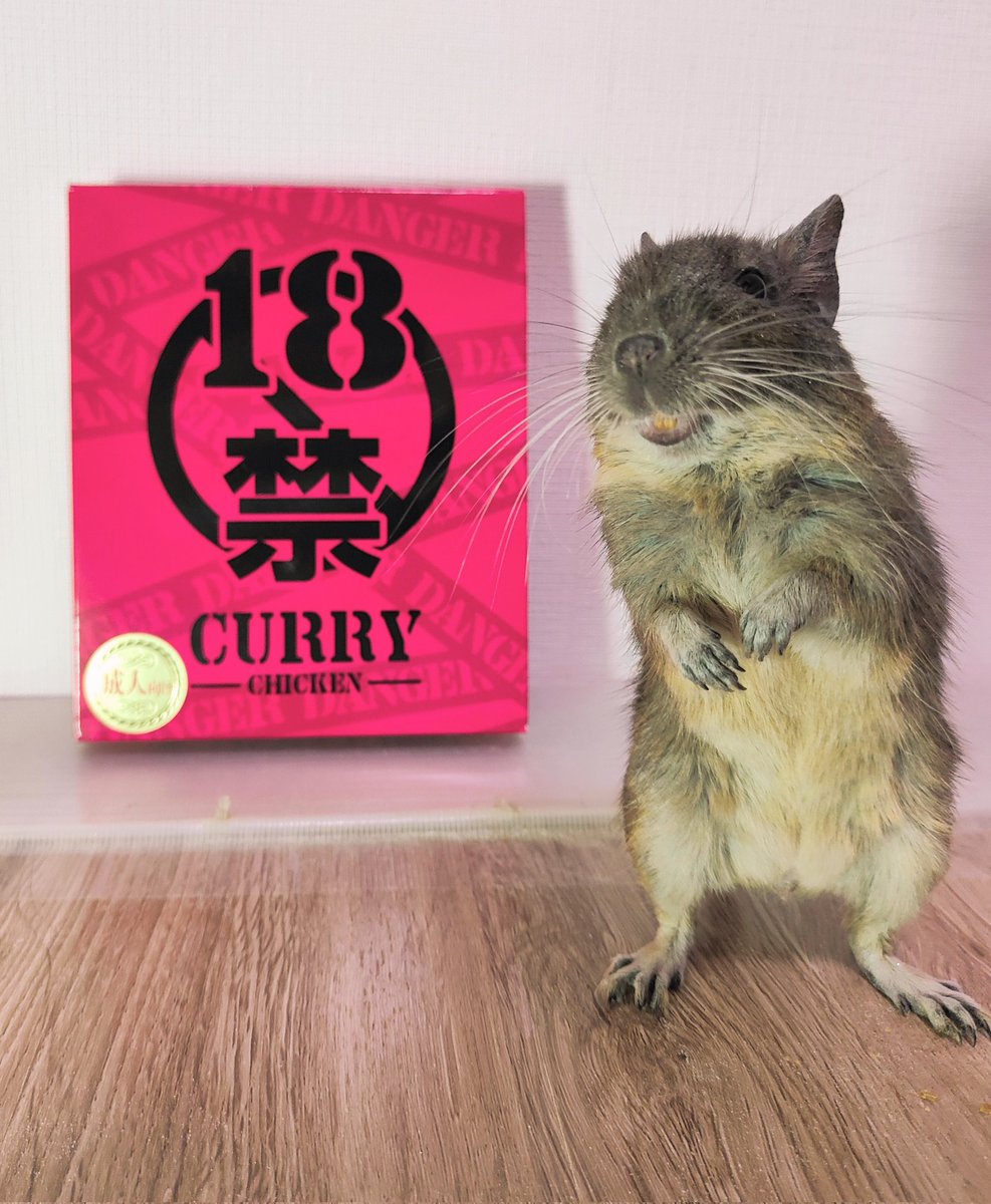 degu_potato's tweet image. 貰ってきたでち