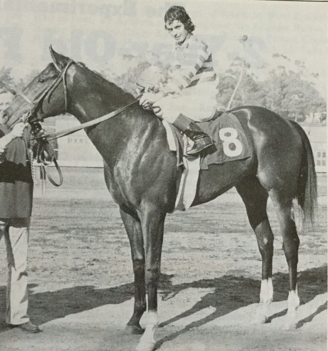 HORSERACING1002's tweet photo. TELLY'S POP (BOLD COMBATANT) #TellysPop
Multiple stakes winner. Owned by Howard W. Koch and Actor Telly Savalas. https://t.co/rWjevzG5NQ