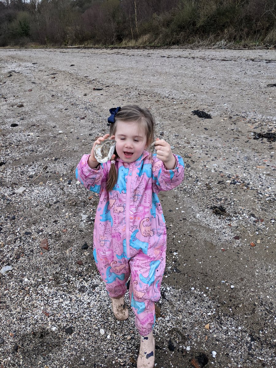 purpleteb's tweet photo. @BowhouseBairns spending some special time with my niece finding shells to add to our counting collections. We've found lots of different sizes. "Look auntie Teresa mermaid shells, these are amazing". Hope you have fun exploring them too #maths #outdoors #Wellbeing #fun https://t.co/GhLOlS7Ssb