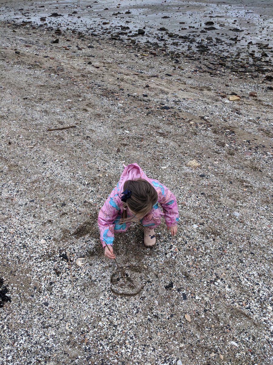 purpleteb's tweet photo. @BowhouseBairns spending some special time with my niece finding shells to add to our counting collections. We've found lots of different sizes. "Look auntie Teresa mermaid shells, these are amazing". Hope you have fun exploring them too #maths #outdoors #Wellbeing #fun https://t.co/GhLOlS7Ssb