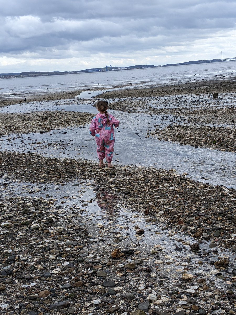 purpleteb's tweet photo. @BowhouseBairns spending some special time with my niece finding shells to add to our counting collections. We've found lots of different sizes. "Look auntie Teresa mermaid shells, these are amazing". Hope you have fun exploring them too #maths #outdoors #Wellbeing #fun https://t.co/GhLOlS7Ssb