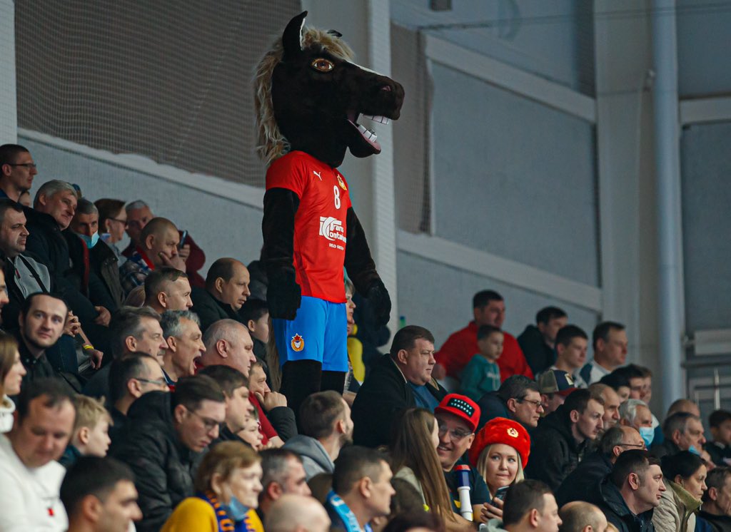 Гандбол России tweet media