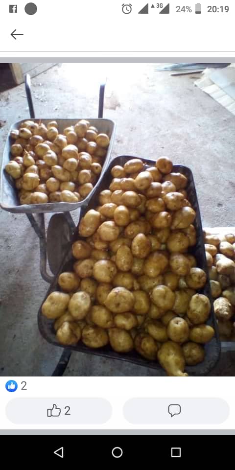 Farm life without right tools