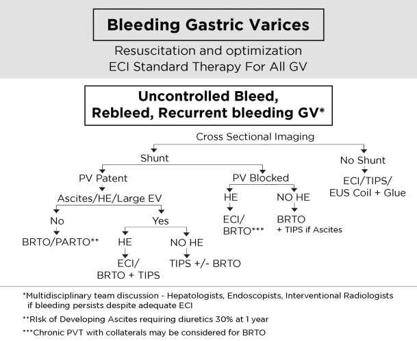 How to approach Gastric Varices...hot stuff 👇👇🔥 gastrojournal.org/article/S0016-… #UEGambassador #GITwitter #LiverTwitter #MedTwitter #MedEd @my_ueg @LiverFellow @ESGE_news @ASGEendoscopy @AmerGastroAssn @SAGEClinMed @KM_Pawlak @drdalbir @stevenbollipo @RodriguezParra_ @RobertoSimonsMD