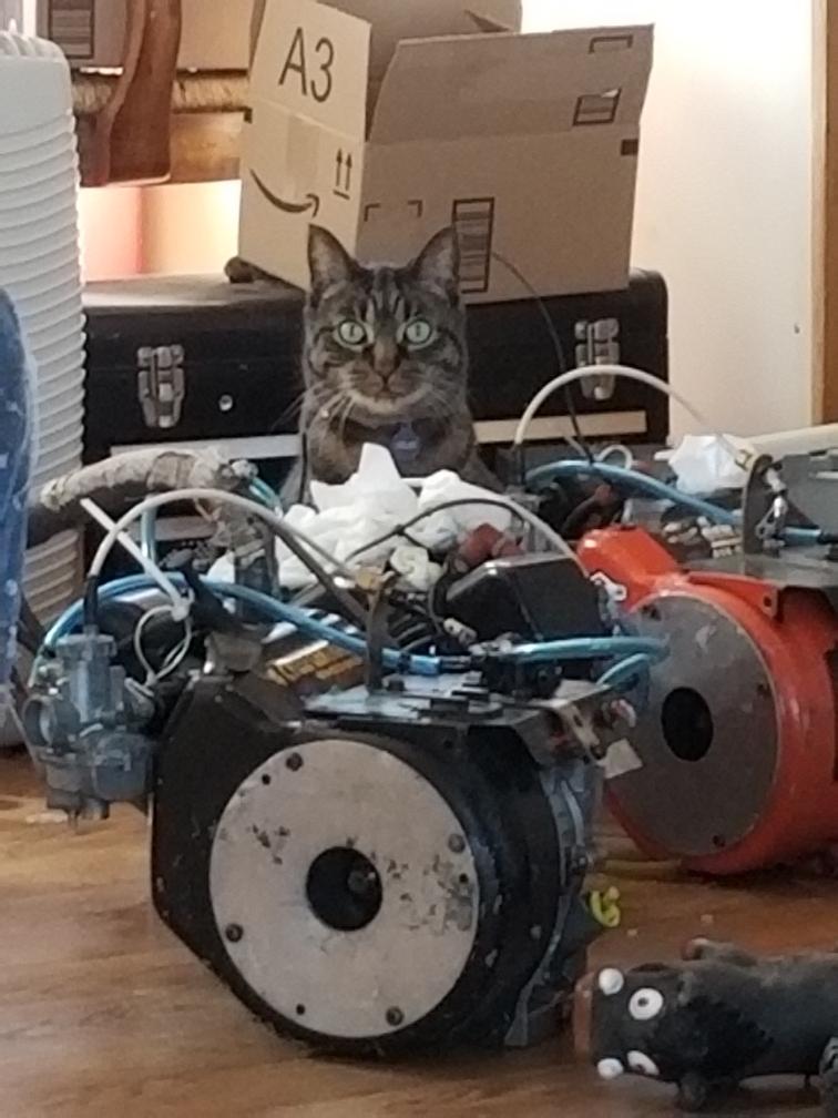 JPAutosports's tweet photo. Look, if you want these ready by April you need to let me work.  Meow, if you'll excuse me I have work to do.

#catsofinstagram #karting #racing #usfjuniors #USF2000 #indy #IndyPro #IndyCar #imsa #NASCAR https://t.co/NfXQLRqNLQ