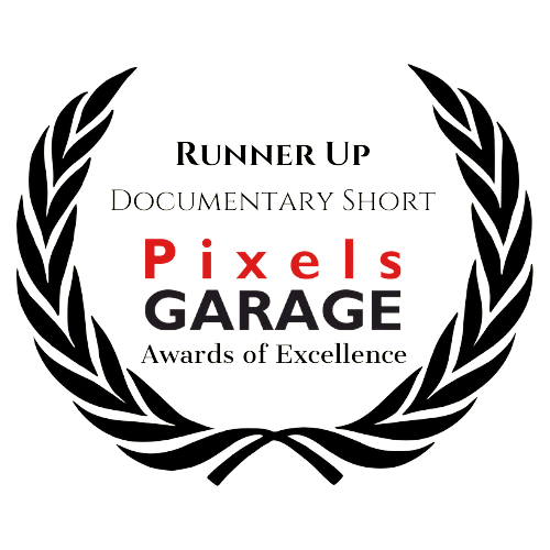 Thank you to PixelsGARAGE Online Script and Film Festival for awarding my short documentary RONNIE'S STORY--that I directed and produced--with a Certificate of Excellence, Runner Up - Documentary Short!
blueforcefilms.com