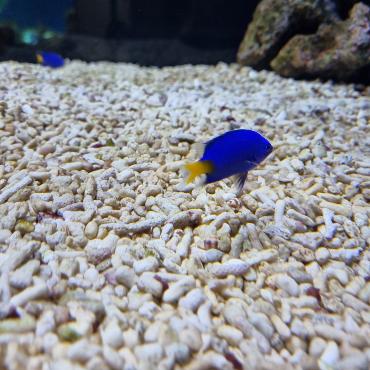 keymaker38's tweet image. Peace for Ukraine🇺🇦