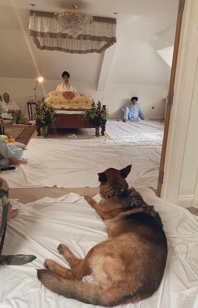 jassa84's tweet photo. ਅਨੰਦ
Anand
Translation : Spiritual Bliss https://t.co/8K47Ftt5j9