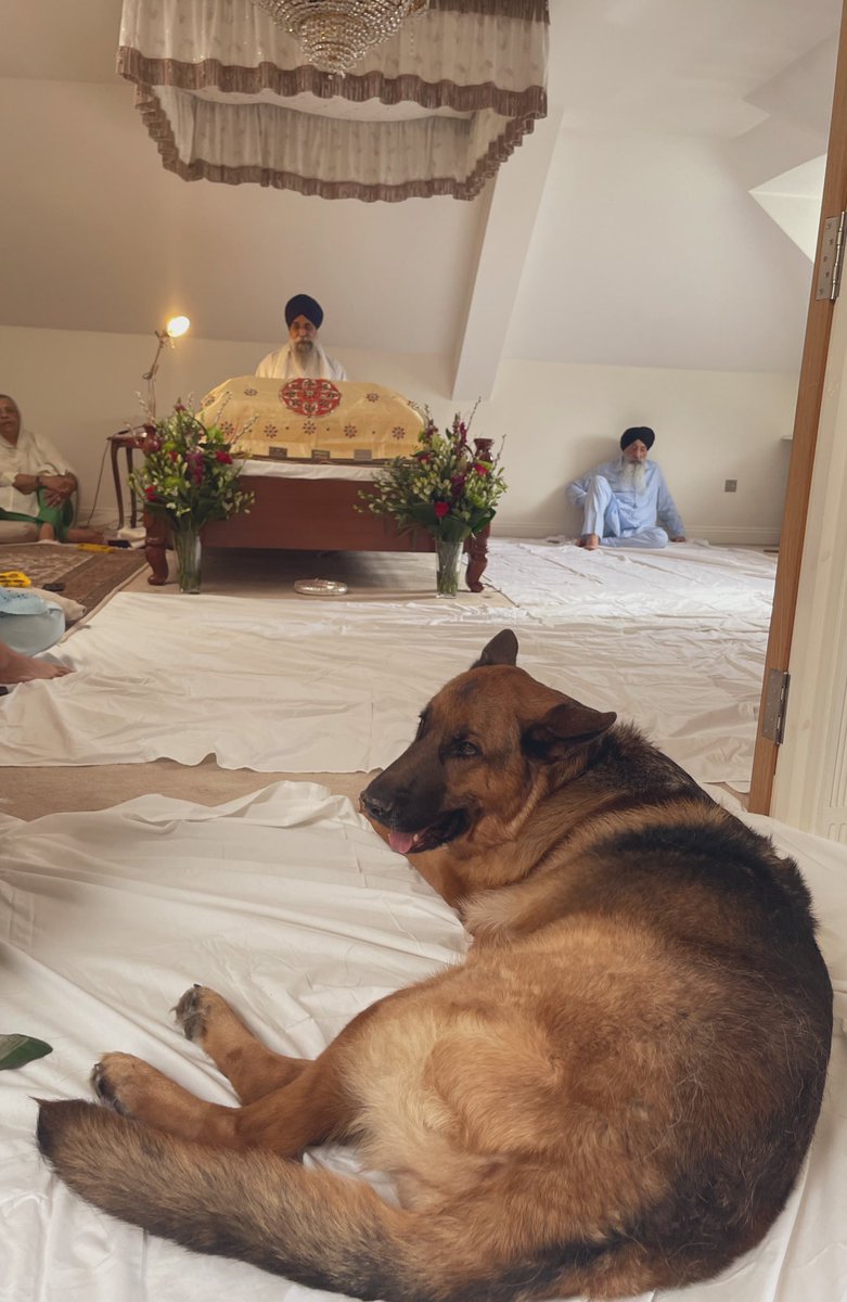 jassa84's tweet photo. ਅਨੰਦ
Anand
Translation : Spiritual Bliss https://t.co/8K47Ftt5j9