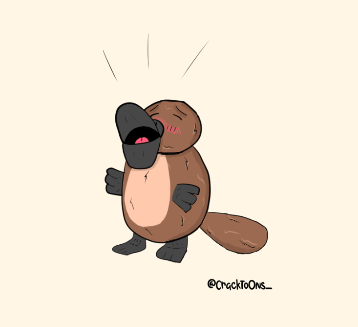 CrackToOns_'s tweet photo. Je viens tout juste de découvrir une nouvelle espèce !
Un HORNY-thorynque 😱
Il est en manque d'amour alors hésitez pas à lui donner du LOVE❤️
#ornithorynque #cartoon #drawing #dessin https://t.co/jHCdGWTL4Q