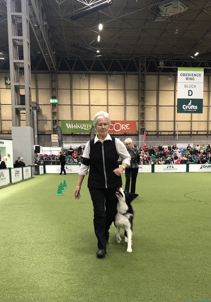 ml_knowles's tweet photo. Jill grattridge working in championship obedience bitch ring.@ObedienceUK @Crufts #Crufts2022 https://t.co/ijd51nIedp